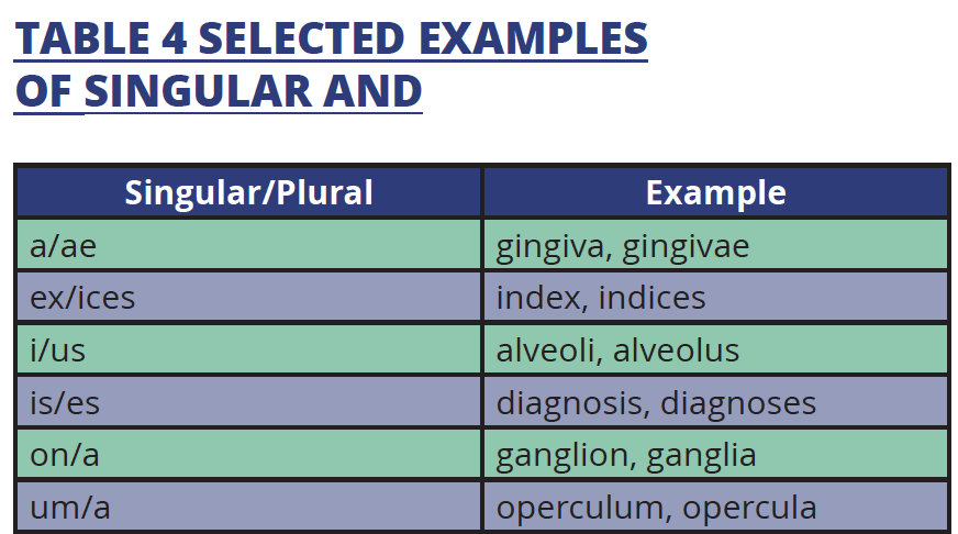 The Language Of Dentistry American Dental Assistants Association