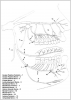 Figure 4 – Regional anatomy involved in administration of local anesthesia for dental procedures. Source: Kaweckyj, N. Maxillofacial Surgery Basics for the Dental Assistant Part I. American Dental Assistants Association 2014.