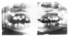 Figure 46 - Coronal Dentin Dysplasia