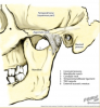 Fig 1. TMJ Landmarks