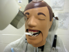 Figure 45 - Maxillary Canines