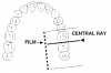 Figure 49 - Maxillary Molars