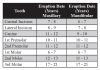 Fig 7. Permanent Eruption and Exfoliation Dates. Adapted from Phinney D, Halstead J. Delmar’s Dental Assisting: A Comprehensive Approach. New York, NY: Thompson; 2004:109.