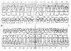 Fig 13. Anatomical Tooth Diagrams with Universal Numbering System (permanent dentition). Courtesy of Coldwell Systems, Champaign, IL. 800-637-1140.