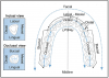 Figure 14 – Surfaces of the Teeth (Courtesy of Mosby’s Comprehensive Dental Assisting: A Clinical Approach, Finkbeiner, BL and Johnson, CS). Diagram of surfaces of the teeth.