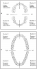 Figure 16 – Arches and Quadrants (Courtesy of Mosby’s Comprehensive Dental Assisting: A Clinical Approach, Finkbeiner, BL and Johnson, CS). Example of the arches and quadrants of both primary and permanent dentition.