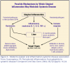 Figure 3 – Model to explain oral inflammation-systemic disease association
From: Scannapieco, FA: Periodontal inflammation: from gingivitis to systemic disease? Compend Cont Educ Dent. 2004; 25(7) (Suppl1): 16-24.
4