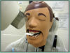 Figure 45 – Maxillary Canines