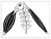 Fig. 4 Muscle imbalance.